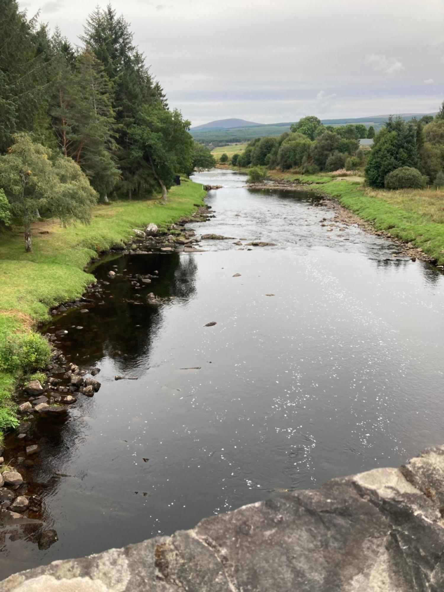 Invercassley Cottage B&B Suite Lairg Exteriör bild