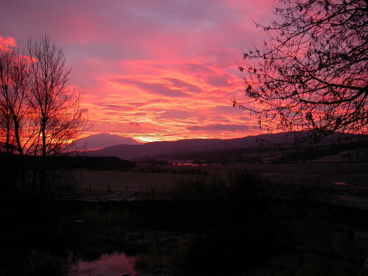 Invercassley Cottage B&B Suite Lairg Exteriör bild